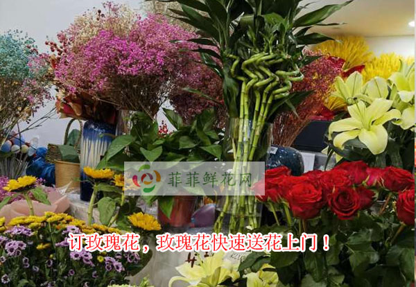 鹤壁浚县订玫瑰花,鹤壁浚县玫瑰花快速送花上门!