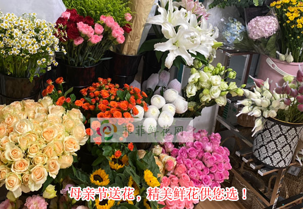 2024鹤壁浚县母亲节送花,鹤壁浚县精美鲜花供您选!