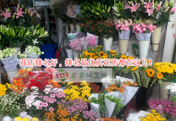 鹤壁浚县花店排名,鹤壁浚县最优质花店都在这儿!