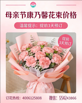 鹤壁浚县花店母亲节康乃馨花束