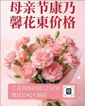 鹤壁浚县花店母亲节康乃馨花束